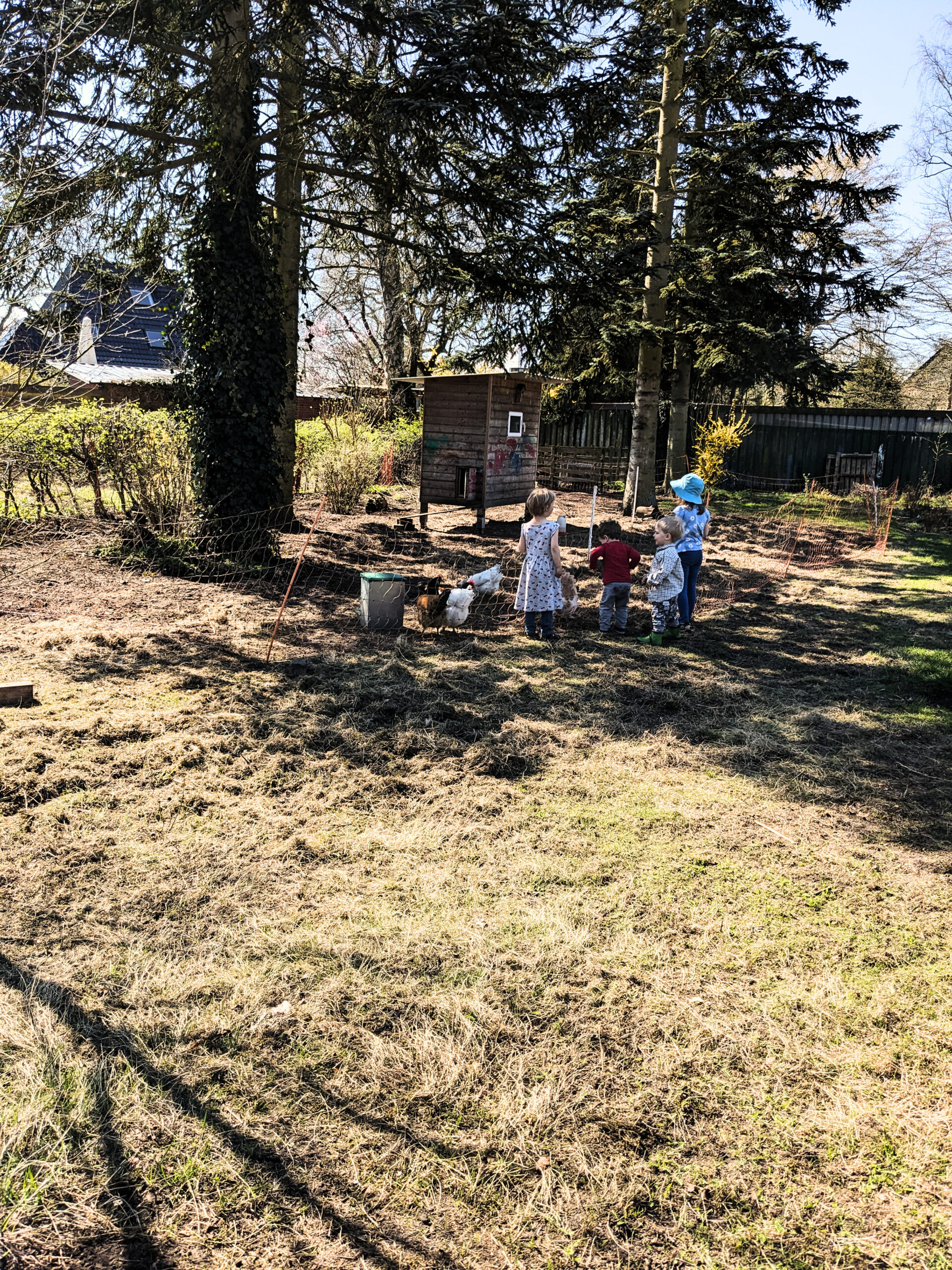 Ein Garten, im Hintergrund ein Hühnerstall, Hühner, einige Kinder stehen bei den Hühnern